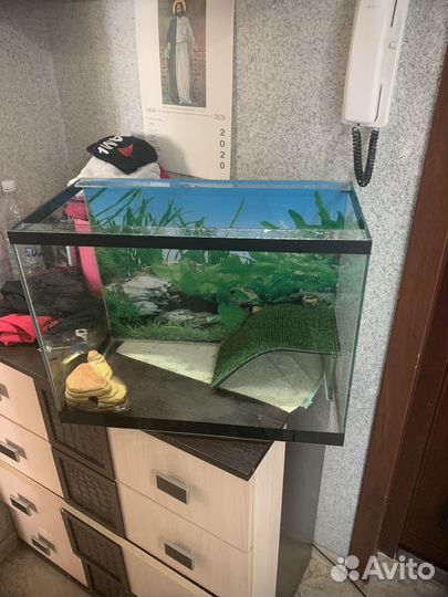 Аквариум для черепах 50 литров