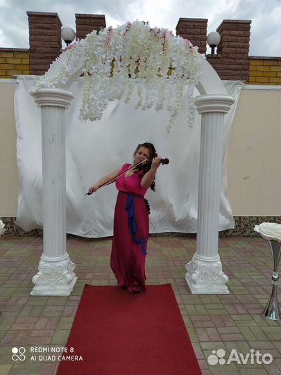 Электроскрипка украсит Ваш праздник