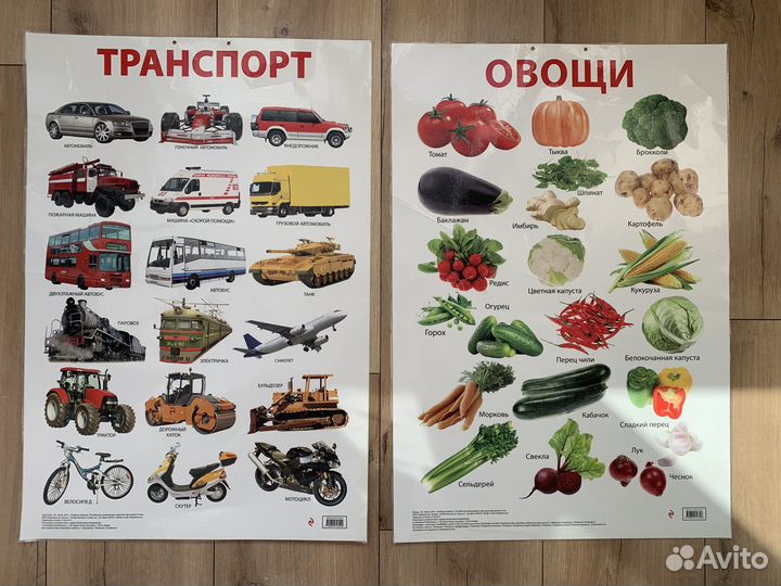 Развивающие плакаты для детей