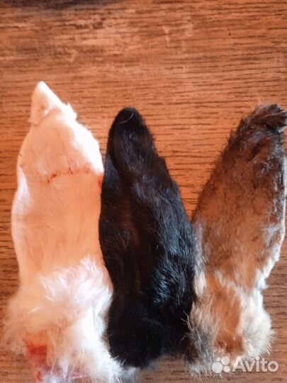 Мясо для собак и кошек