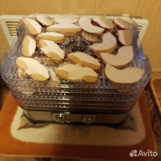 Белые грибы