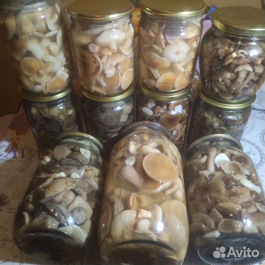 Грибы маринованные