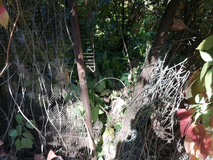 Участок 3,8 сот. (ИЖС)