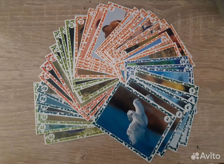 Наклейки Живая планета 4D Монетка