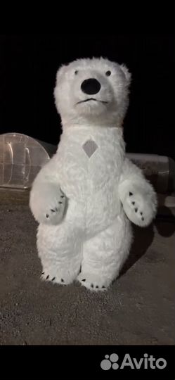 Медведь большой