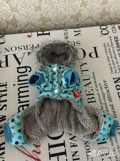 Одежда для маленьких собак