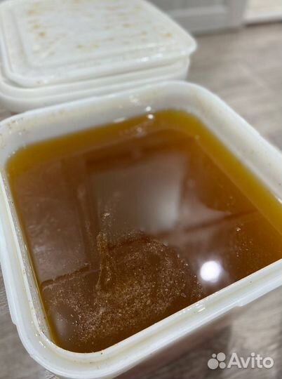 Мед Алтайское разнотравье оптом 2023