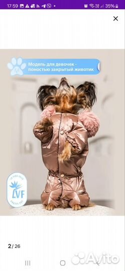 Комбинезон для маленькой собаки (девочки) зимний