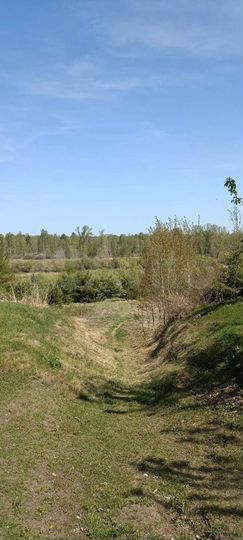 Участок 8 сот. (ИЖС)