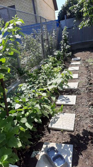 Дом 251 м² на участке 5,1 сот.