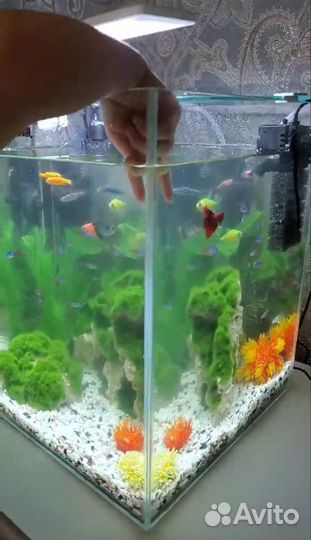 Аквариум 30 литров aqvael