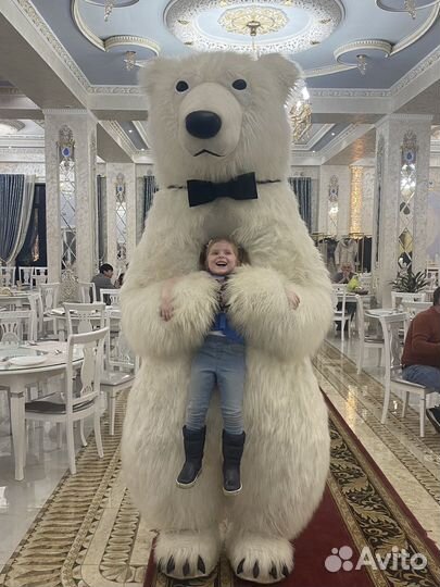 Ростовой медведь / Аэро-медведь