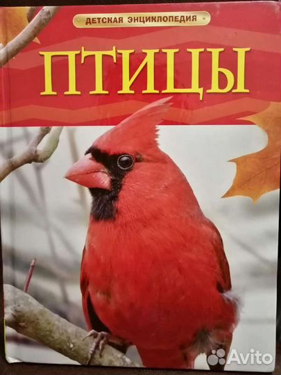 Детская энциклопедия