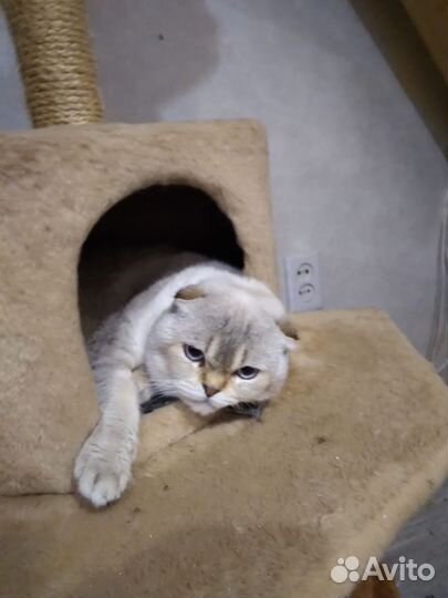 Вязки,Тоннели