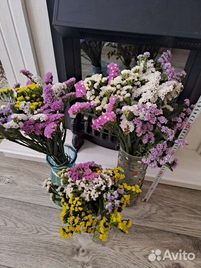 Сухоцветы Статица