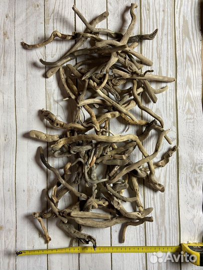 Коряги дрифтвуд