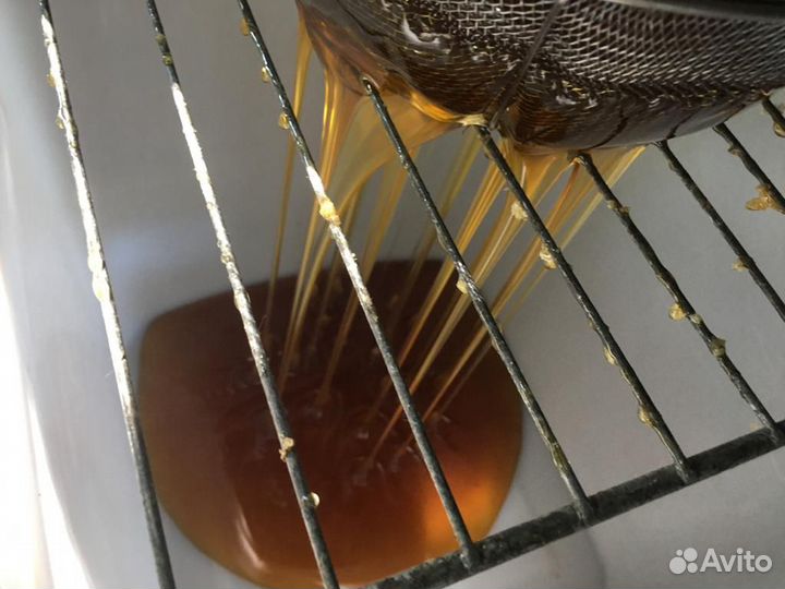 Мёд Алтайский дягилевый таёжный без посредников