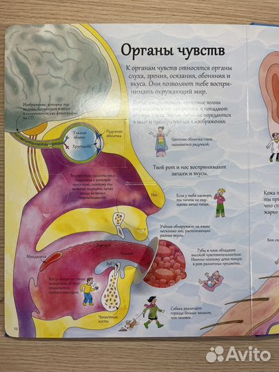 Открой тайны человека