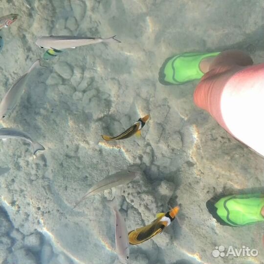 Об отдыхе в Египте