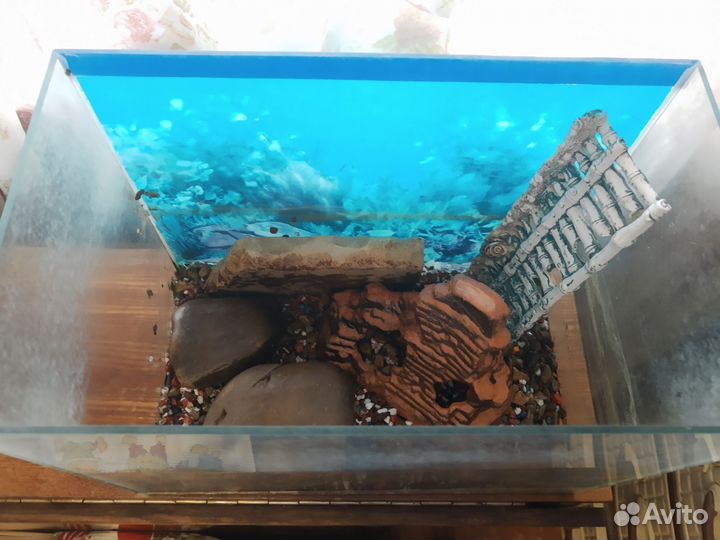 Аквариум с камнями и лесенкой