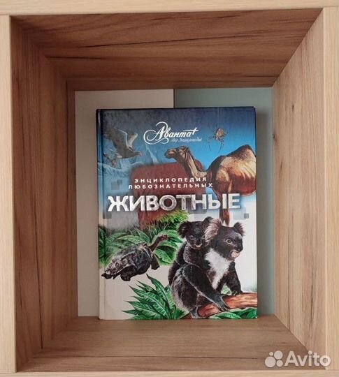 Детская энциклопедия Аванта Харвест Эксмо Махаон