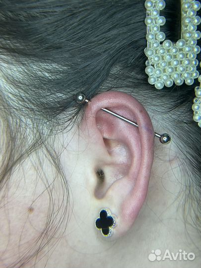 Пирсинг, все проколы