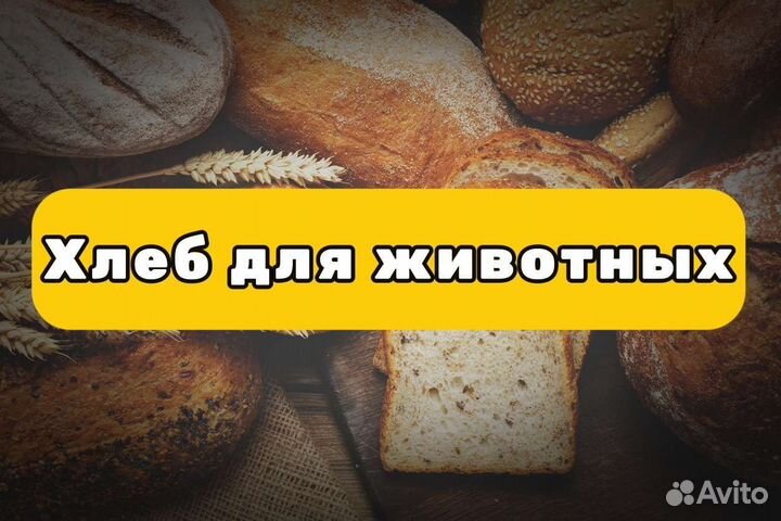 Комбикорма Старосиверская