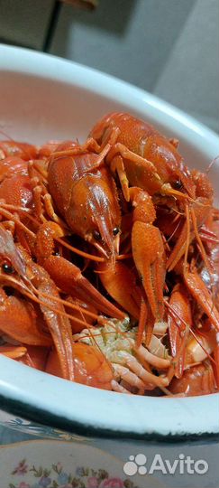 Варёные раки