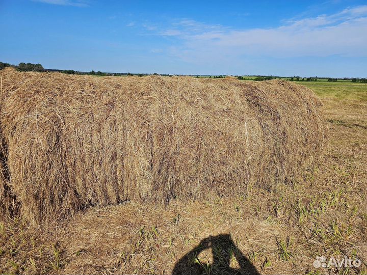 Сено луговое в рулонах