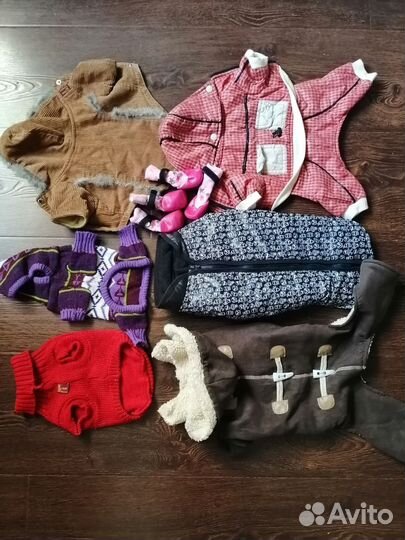 Костюмы для собак