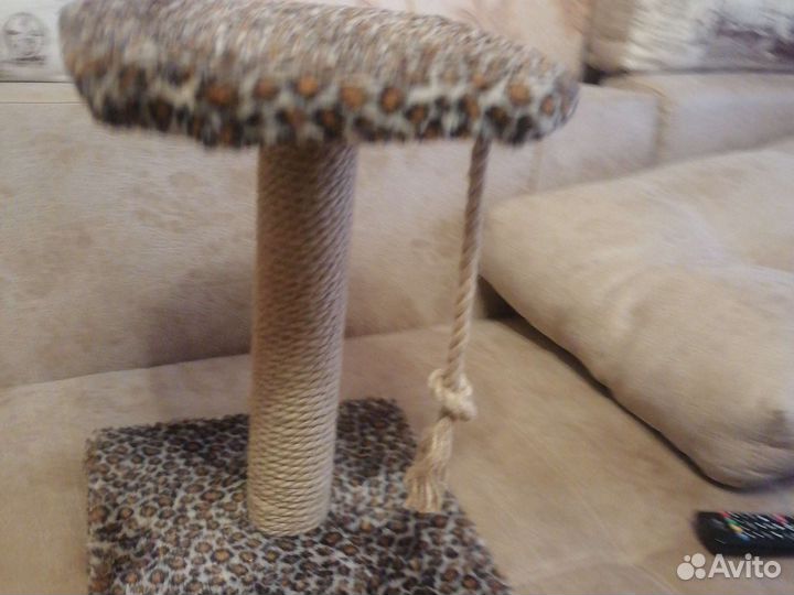 Когтеточка