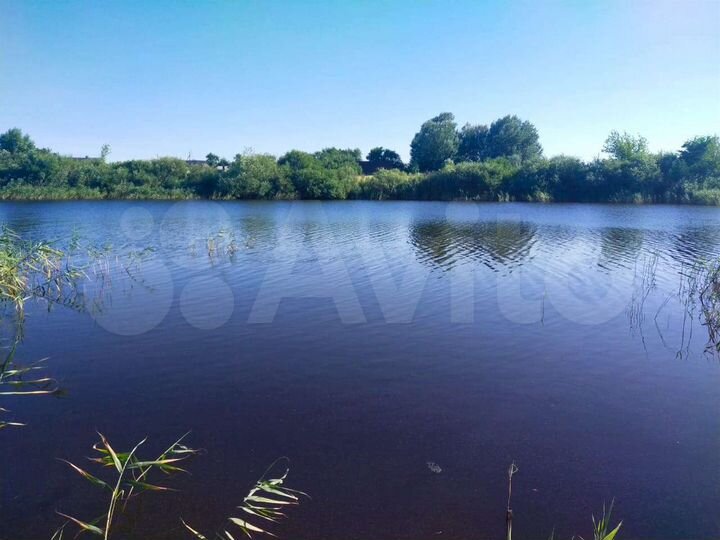 Участок 2,5 га (ИЖС)