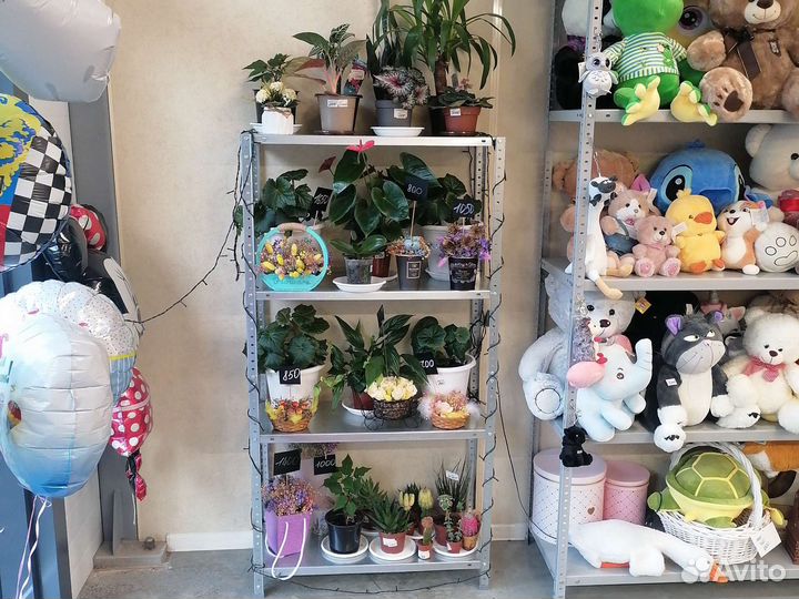 Продам готовый цветочный бизнес