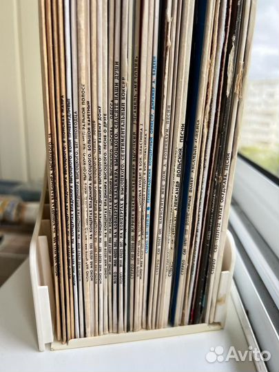 Виниловые пластинки
