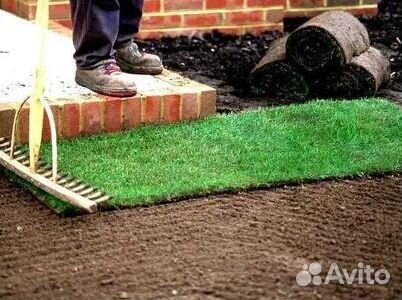 Укладка газона