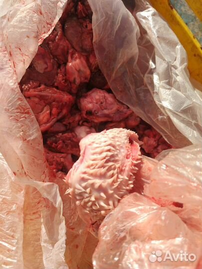 Обрезь для собак и сушеные лакомства