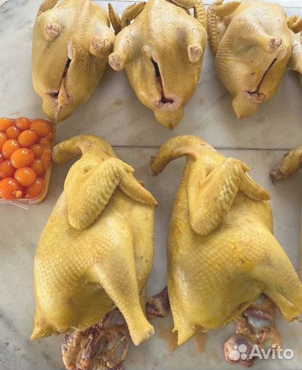 Домашний бройлер