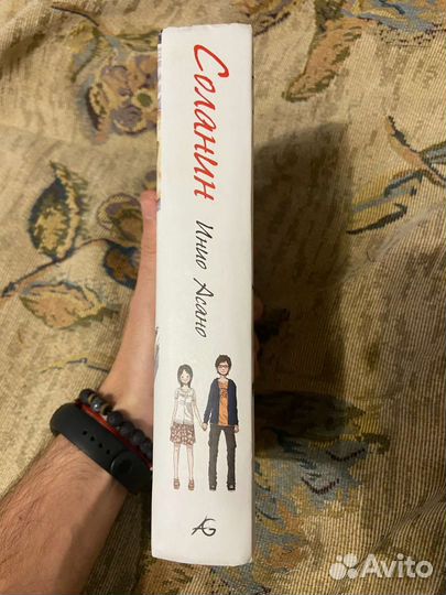 Соланин манга