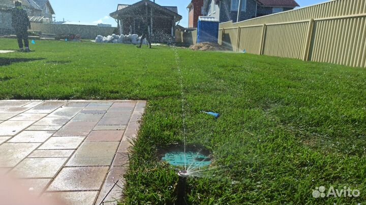 Рулонный газон лучше чем посевной