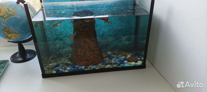 Аквариум