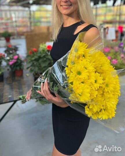 Цветы Букеты Хризантема