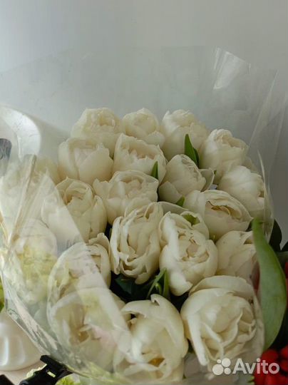 Тюльпаны свежие доставка цветов