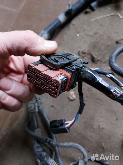 Проводка двигателя Лада Гранта, 21901-3724026-44