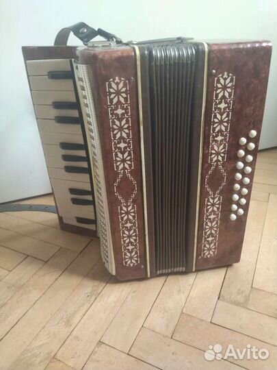Аккардеон малыш