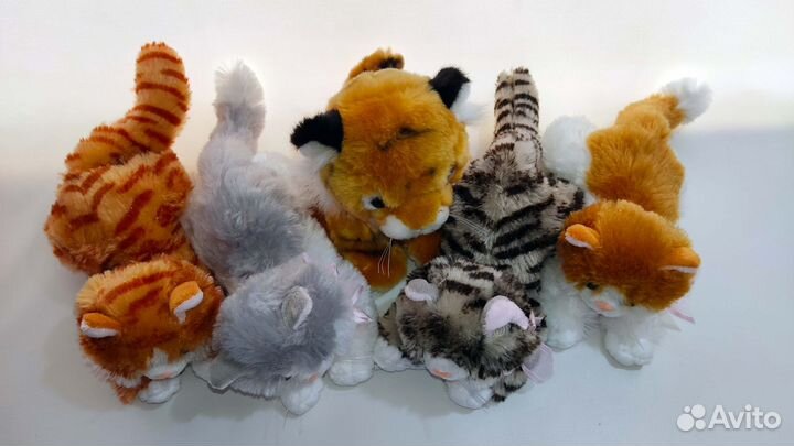 Котёнок мяукает