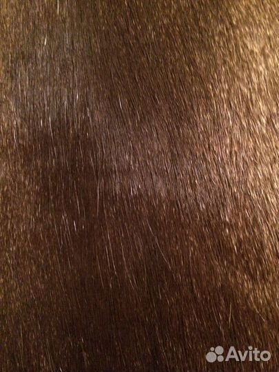 Шкуры нутрии