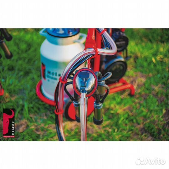 Доильный аппарат для коров Меласти Melasty TK2-AK