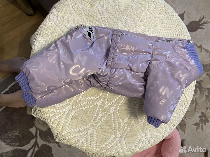 Одежда для собак мелких пород