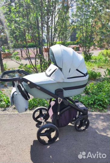 Коляска Adamex Cortina 2 в 1