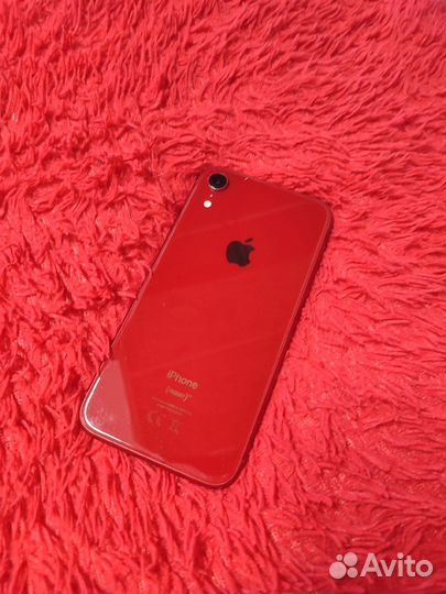 iPhone xr